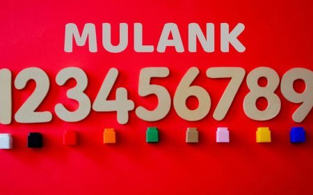 साल का आखिरी दिन, मूलांक 1 वाले मालामाल, मूलांक 5 की यात्रा पक्की, जानें आपना भविष्य