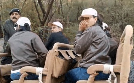 आज रणथंभौर आ सकती हैं सोनिया गांधी:प्रियंका और राहुल पहले ही पहुंचे; 1 जनवरी को रेहान-अवीवी बेग की रिंग सेरेमनी की चर्चा