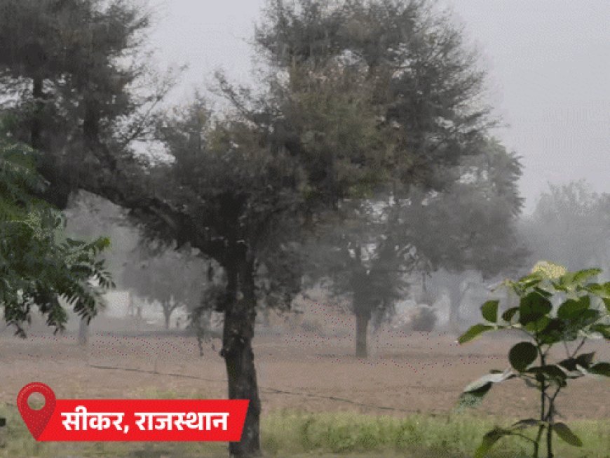 राजस्थान में शीतलहर का अलर्ट, बीकानेर में तापमान 4.7°:MP के भोपाल-इंदौर में पारा 9 डिग्री से नीचे; बिहार में कोहरे से 11 फ्लाइट लेट
