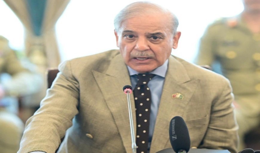 Shahbaz Sharif ने जरदारी से मुनीर को देश का पहला CDF नियुक्त करने का औपचारिक अनुरोध किया