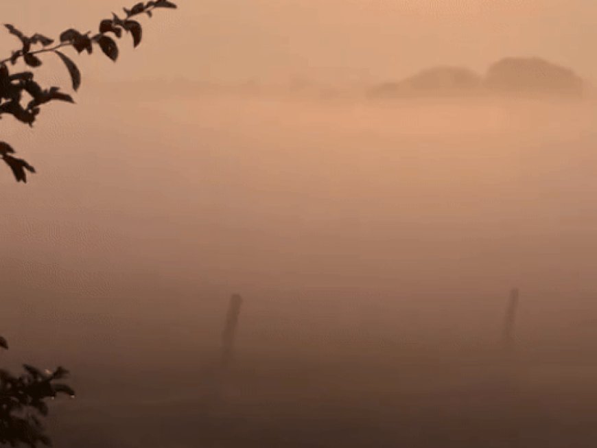 कोहरे की चादर में लिपटा चित्तौड़गढ़:न्यूनतम तापमान 10 डिग्री से नीचे, मौसम विभाग का अलर्ट: आने वाले दिनों में और गिरेगा पारा