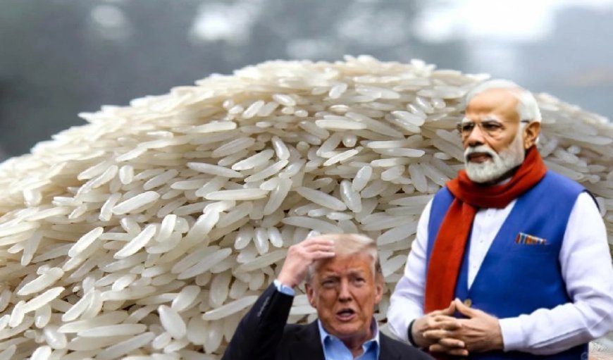 Trump के खतरनाक प्लान पर फिर जाएगा पानी, अब मोदी रोकेंगे पूरे अमेरिका का चावल