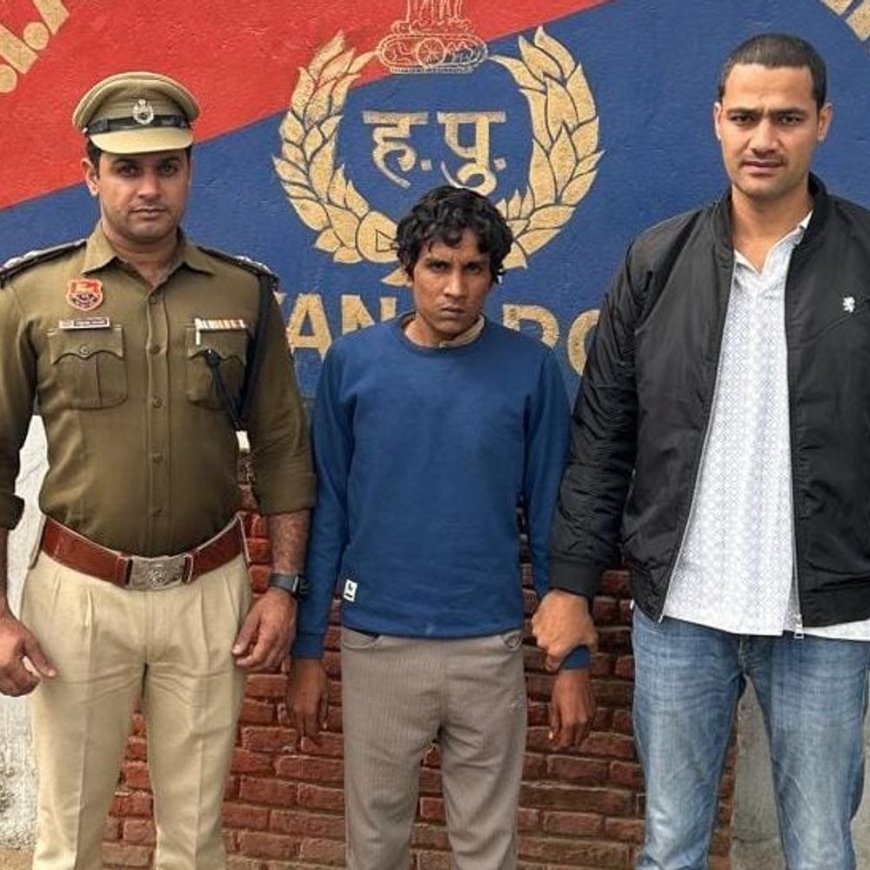 पलवल में फरार गौ तस्कर गिरफ्तार:कैंटर में ले जा रहा था 23 गोवंश, 4 मृत मिले, ड्राइवर पहले ही पकड़ा गया