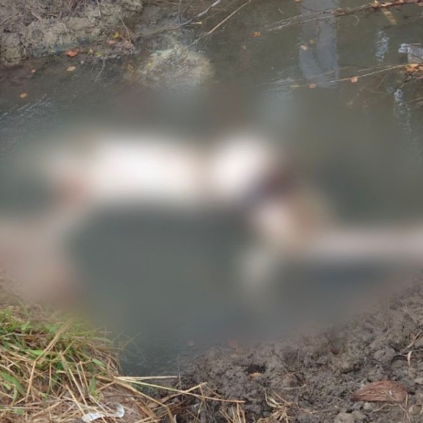 डबवाली में नहर में व्यक्ति का शव मिला:पुल के पास सड़ी-गली हालत में फंसा था, लोगों ने देखकर पुलिस बुलाई