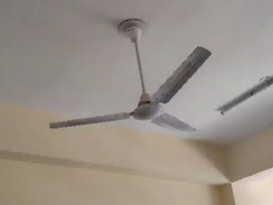 हरियाणा में भूकंप के झटके:रोहतक से 17 किलोमीटर दक्षिण में रहा केंद्र, 3.3 रही रिएक्टर पर तीव्रता, धरती के भीतर 5 किलोमीटर रही गहराई