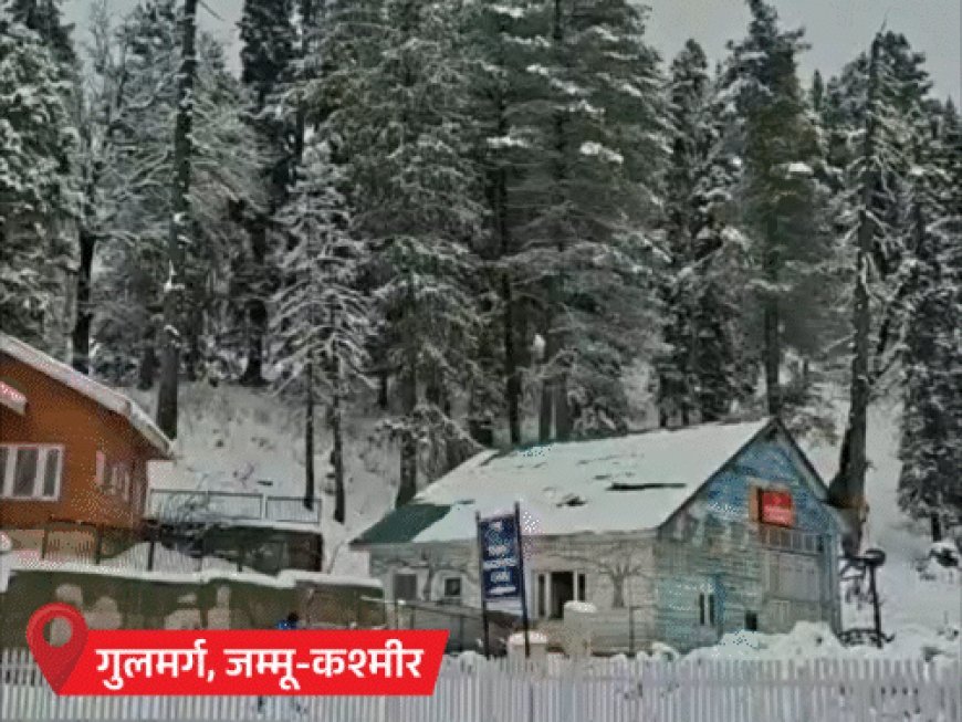 राजस्थान-MP के 2 शहरों में पारा 2.6° और 3.8°:कोहरे के कारण इंडिगो की 63 फ्लाइट कैंसिल; UP में सर्दी से 3 लोगों की मौत