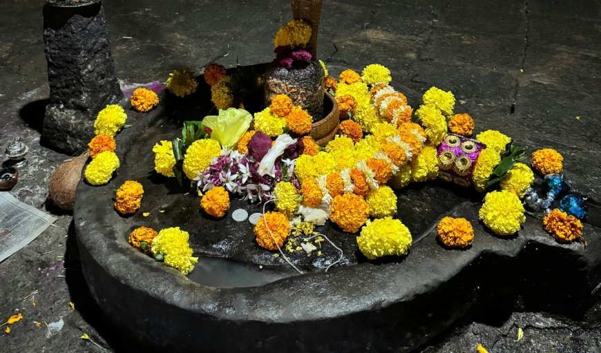 साल की पहली पौष पूर्णिमा 2026: इन 5 चीजों से करें शिवलिंग की पूजा, शिव-हरि दोनों होंगे प्रसन्न