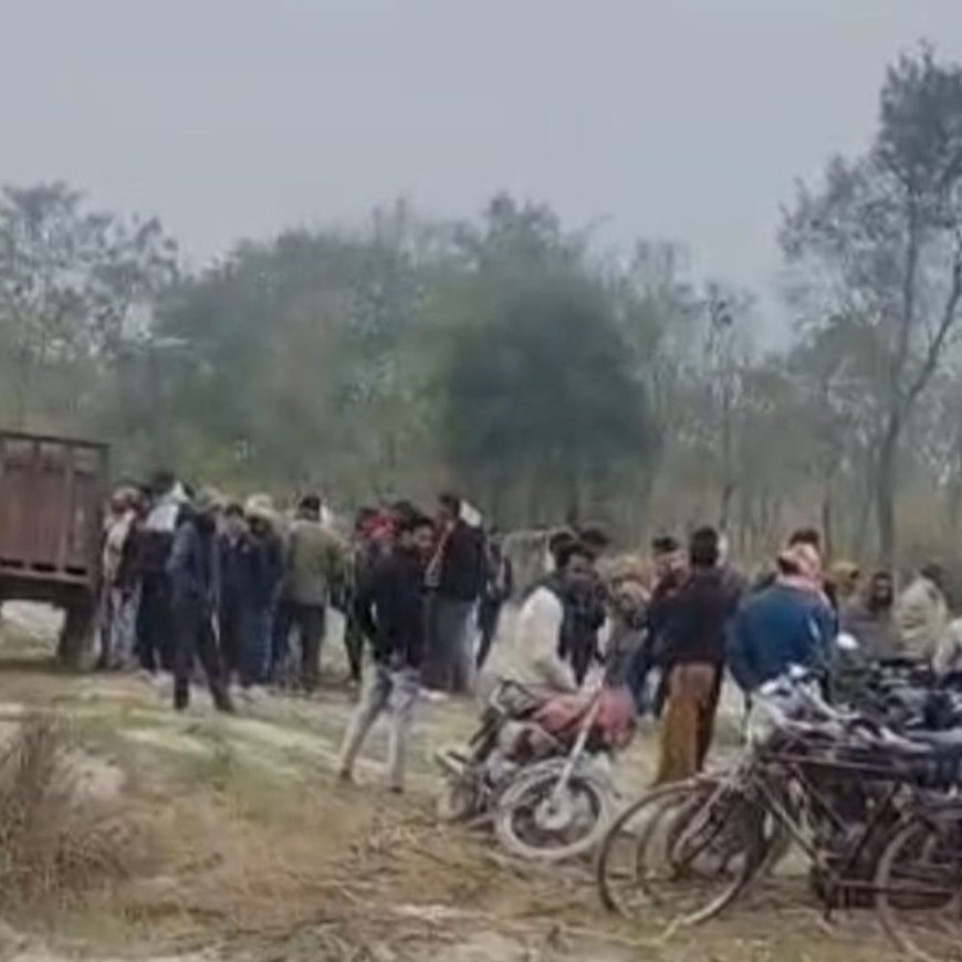 धौरहरा में बुजुर्ग का छतविछत शव मिला:बाघ के हमले की आशंका, वन विभाग जांच में जुटा