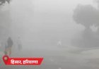 कश्मीर के सोनमर्ग में पारा माइनस 11.2°C:MP-राजस्थान में कोहरा, सड़क हादसों में 7 मौतें; हरियाणा-पंजाब के 5 शहरों में तापमान 4° से नीचे