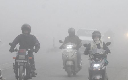 Delhi पर घने कोहरे की चादर, पांच जनवरी तक शीतलहर की संभावना