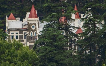 Uttarakhand High Court ने बागेश्वर जिले में खड़िया के अवैध खनन मामले को लेकर समिति गठित की