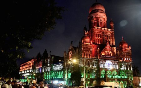 BMC Election 2026 | चुनाव में Nepotism का बोलबाला! 43 नेताओं ने चुनावी मैदान में उतारे रिश्तेदार, Mumbai Civic Body में Dynasty Politics का दबदबा