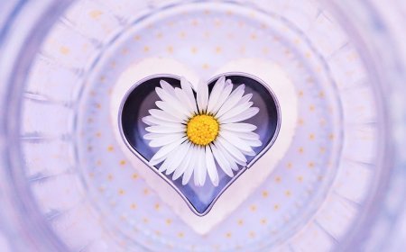 Love Horoscope For 2 January 2026 | आज का प्रेम राशिफल 2 जनवरी | प्रेमियों के लिए कैसा रहेगा आज का दिन