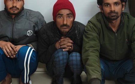 नूंह से पुलिस ने तीन गौ तस्करों को किया अरेस्ट:तीन गोवंश को कराया मुक्त, पिकअप गाड़ी से राजस्थान लेकर जा रहे थे आरोपी