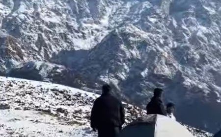 दिल्ली के 4 टूरिस्ट त्रियुंड में रास्ता भटके:भागसूनाग के पास घने जंगल में फंसे, पुलिस ने 4 घंटे रेस्क्यू चलाकर सुरक्षित निकाले