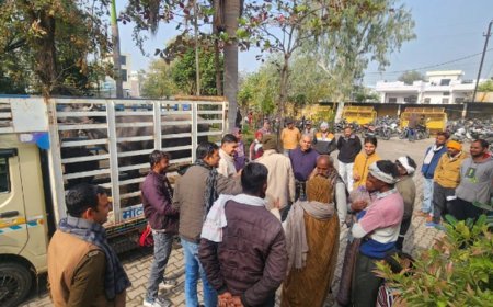 कोटा पुलिस थाने लेकर आई भैंस-पाड़ा:2 दावेदार आमने-सामने, मंदिर में कसम खाने के बाद भी नहीं सुलझा विवाद, उम्र बताने में फंसे दोनों