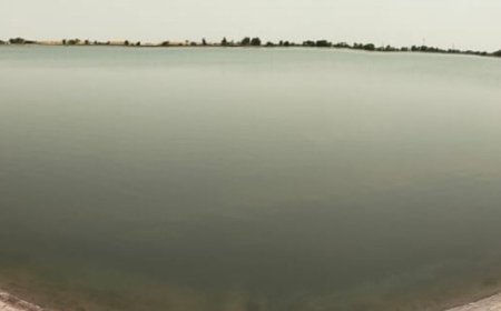 इंदिरा गांधी नहर में इस बार दो वरीयता से पानी:21 जनवरी तक किसानों को चार में दो बारी, फिर तीन में एक बारी पानी मिलेगा