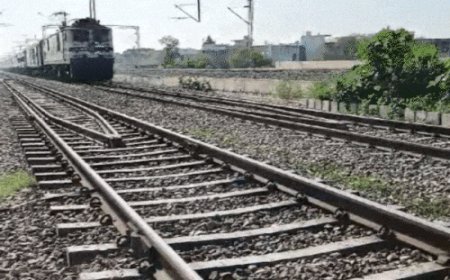 गोरखधाम एक्सप्रेस से गोल्ड चुराने वाले को जमानत:हिसार कोर्ट ने कहा-आपराधिक रिकॉर्ड पर बेल नहीं रोक सकते, बैग से चुराया था सोना