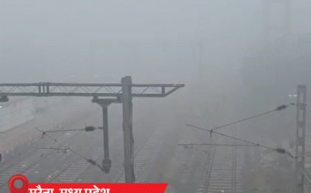 राजस्थान में ओले गिरे, MP में कोहरे से ट्रेनें लेट:काशी में सर्दी का 22 साल का रिकॉर्ड टूटा; बिहार में 1000 बच्चे बीमार, 3 की मौत