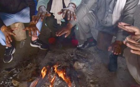 Weather Update : भीषण ठंड से कांपा उत्तर भारत, कोहरे ने बढ़ाई मुसीबत, इन राज्‍यों में शीतलहर का अलर्ट