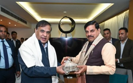 असम से MP आएंगे 50 जंगली भैंसे, गैंडे का जोड़ा और कोबरा, बदले में भेजे जाएंगे रॉयल बंगाल टाइगर और 6 मगरमच्छ