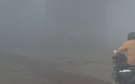 हनुमानगढ़ में दो दिन बाद लौटा घना कोहरा:सुबह विजिबिलिटी 20-30 मीटर पर सिमटी, ठंडी हवाओं से गलन बरकरार