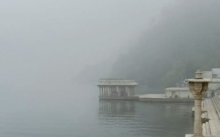 राजसमंद में कोहरे ने किया परेशान:विजिबिलिटी कम होने से वाहनों की रफ्तार धीमी रही