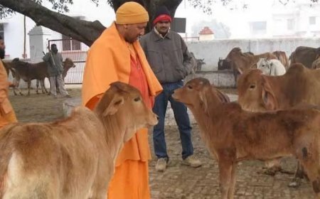 UP : गौसेवा में समर्पित योगी सरकार, 4366 गौ-आश्रय स्थलों पर मजबूत मॉनिटरिंग सिस्टम लागू