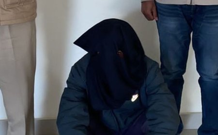 फतेहाबाद में 35 लाख रुपए फ्रॉड में एक गिरफ्तार:अमेरिका भेजने का झांसा दिया था; अलग-अलग देशों में भेज किया प्रताड़ित