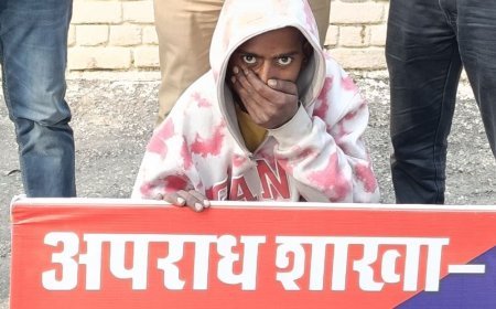 कैथल में 8 गाड़ियों के शीशे तोड़ चोरी, आरोपी पकड़ा:सीसीटीवी में रिकॉर्ड हुई थी घटना, पटेल नगर का मामला