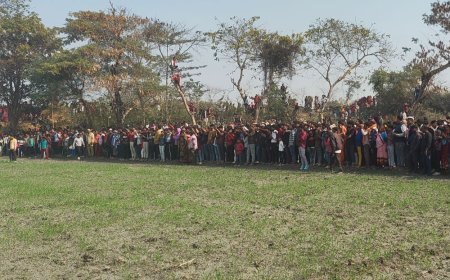 कुशीनगर में गन्ने के खेत में फंसा तेंदुआ:सिसवा गोपाल गांव में हड़कंप, हजारों की भीड़ जुटी