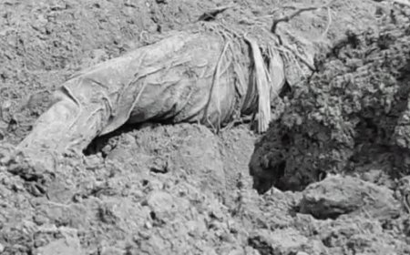 कुशीनगर में मकान में मिट्टी भराई के दौरान शव मिला:कपड़े में लिपटा दिखा बॉडी, लोगों ने ट्रॉली में लोड किया; हत्या की आशंका