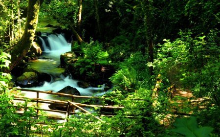 पर्यावरण: जान—माल के नुकसान की नेताओं को परवाह नहीं