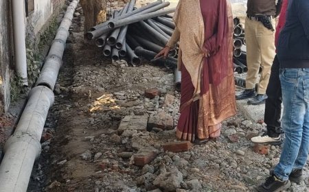 यमुनानगर नगर निगम के दो JE को नोटिस:पार्क की हालत देख भड़की मेयर, पाइप डालने के कार्य में कमी; काम रुकवाया