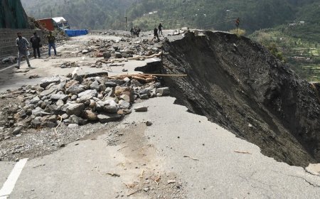 New Zealand में एक ‘कैंपिंग’ स्थल में भूस्खलन, बचाव कार्य जारी