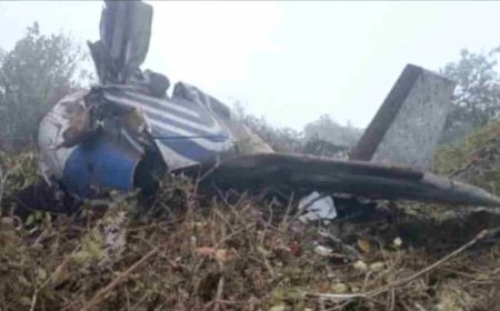 कोलंबिया में उड़ान भरते ही क्रेश हुआ विमान, सांसद समेत 15 की मौत