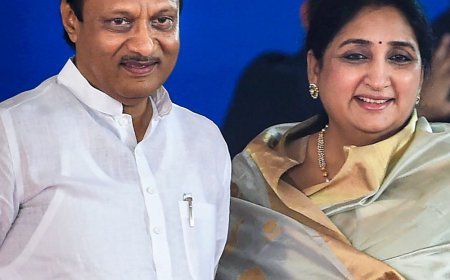 अजित पवार की पत्नी को डिप्टी सीएम बनाने की मांग:NCP नेता फडणवीस से मिले, विभाग भी मांगे; NCP के विलय पर फैसला शरद पवार लेंगे