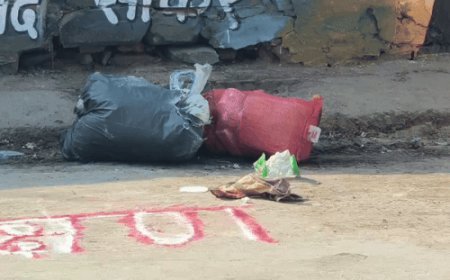 नगरपरिषद की स्वच्छता रंगोली पर ही कचरा फेंका जा रहा:मारू स्कूल के पास बनाई थी रंगोली, पूरे शहर में खुले में कचरा फेंक रहे लोग