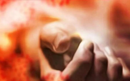 पति ने मजाक में मॉडल पत्नी को कहा 'बंदरिया', गुस्से से पागल पत्‍नी ने किया ये काम, हर कोई हैरान