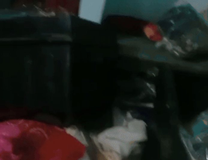 नारनौल में रिटायर्ड फौजी के घर लाखों के जेवरात-कैश चोरी:चोरों ने गेट-अलमारी-संदूकों के ताले तोड़; पत्नी के साथ रिश्तेदारी में गए थे