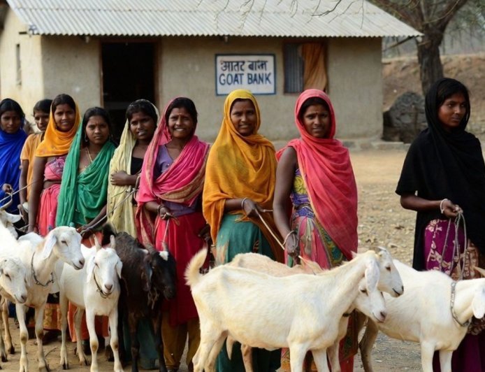 लोन में बकरी देता है महाराष्ट्र के जलगांव का बैंक:नाम GOAT बैंक; डिपॉजिट में लौटाना पड़ता है मेमना; अबतक 300+ महिलाओं को आत्मनिर्भर बनाया