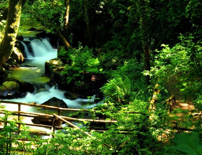 पर्यावरण: जान—माल के नुकसान की नेताओं को परवाह नहीं