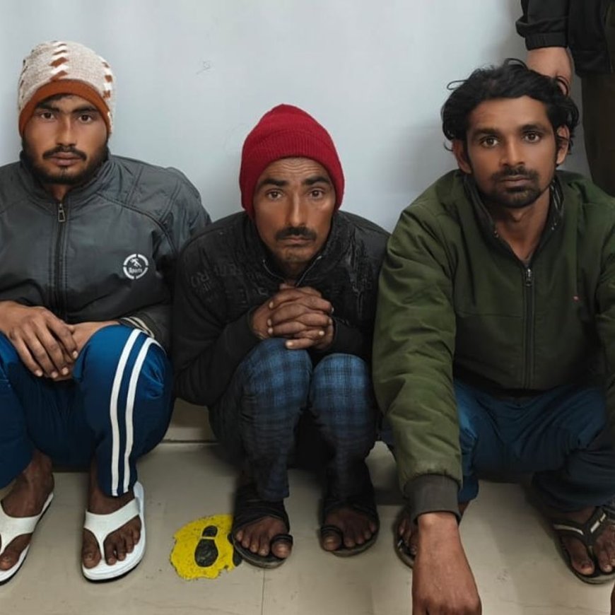 नूंह से पुलिस ने तीन गौ तस्करों को किया अरेस्ट:तीन गोवंश को कराया मुक्त, पिकअप गाड़ी से राजस्थान लेकर जा रहे थे आरोपी