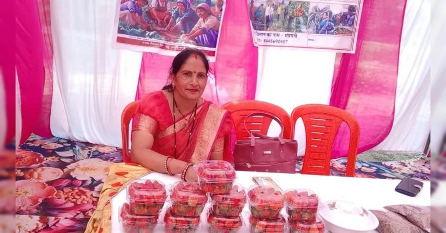 UP के इटावा में स्ट्रॉबेरी, ड्रैगनफ्रूट और रागी से 3 लाख तक कमा रहीं मंत्रवती शाक्य