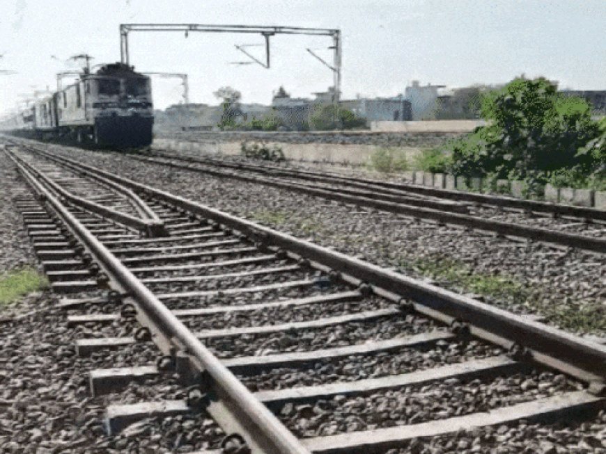 गोरखधाम एक्सप्रेस से गोल्ड चुराने वाले को जमानत:हिसार कोर्ट ने कहा-आपराधिक रिकॉर्ड पर बेल नहीं रोक सकते, बैग से चुराया था सोना