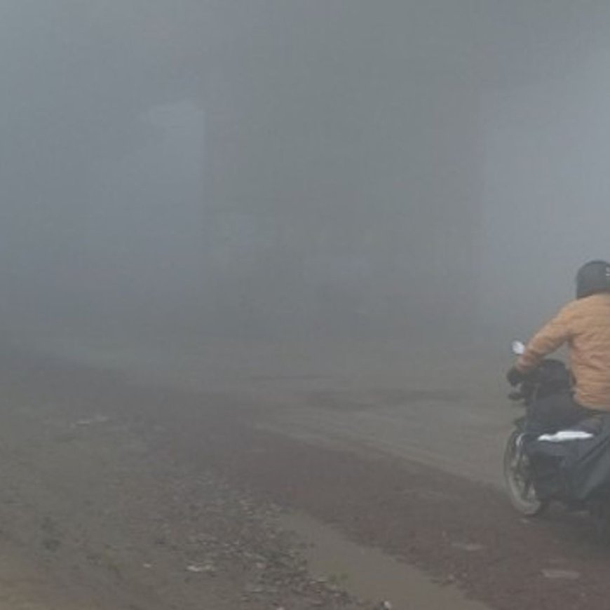 हनुमानगढ़ में दो दिन बाद लौटा घना कोहरा:सुबह विजिबिलिटी 20-30 मीटर पर सिमटी, ठंडी हवाओं से गलन बरकरार