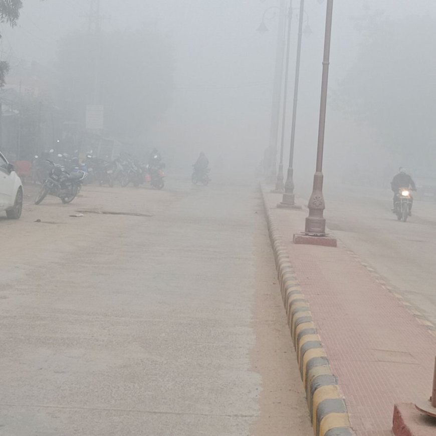 चूरू में घना कोहरा, विजिबिलिटी 50 मीटर से कम:न्यूनतम तापमान 5.5 डिग्री; वाहनों की रफ्तार धीमी; ट्रेनें लेट