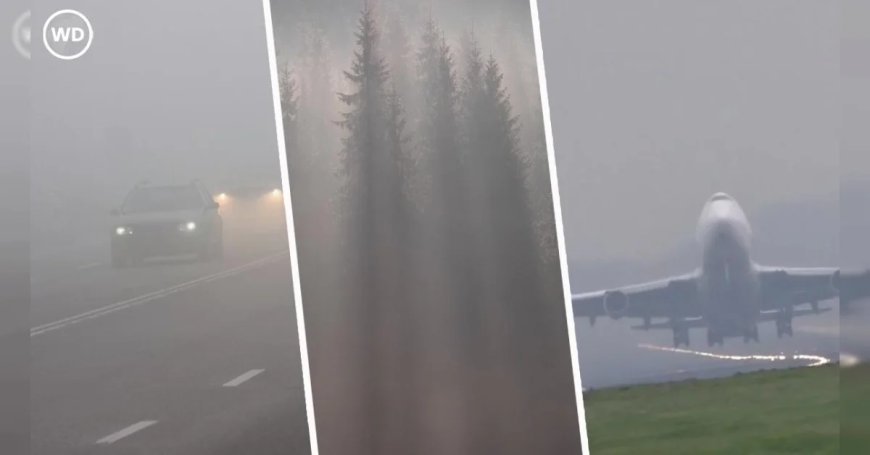 ठंड से ठिठुरी दिल्ली, कई राज्यों में कोल्ड डे की स्थिति, जानिए क्यों बदला मौसम का मिजाज?