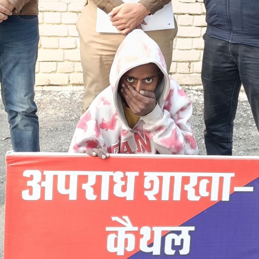 कैथल में 8 गाड़ियों के शीशे तोड़ चोरी, आरोपी पकड़ा:सीसीटीवी में रिकॉर्ड हुई थी घटना, पटेल नगर का मामला