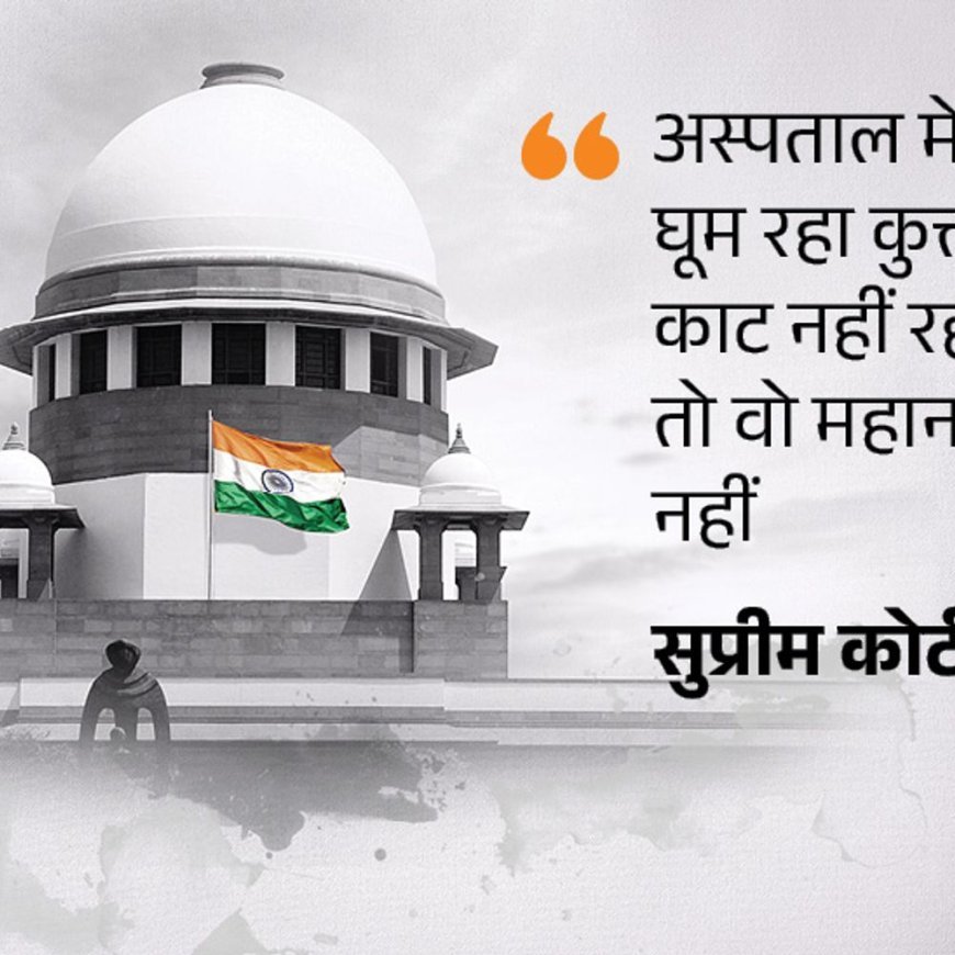 आवारा कुत्तों पर सुप्रीम कोर्ट पहुंचे शर्मिला टैगोर के वकील:कहा- दिल्ली AIIMS में मौजूद डॉग ने किसी को नहीं काटा; जज बोले- यह कुत्ते की महानता नहीं